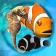 Fish Farm