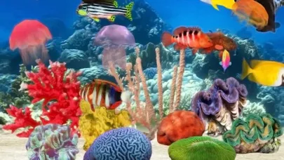 تصاویر Fish Farm