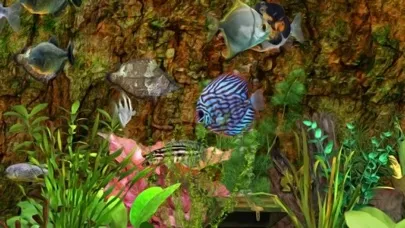 تصاویر Fish Farm