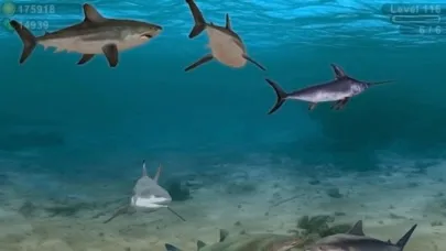 تصاویر Fish Farm