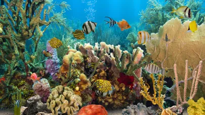 MyReef 3D Aquarium 2 HD স্ক্রিনশট