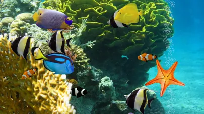 MyReef 3D Aquarium 2 HD স্ক্রিনশট