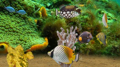 Скриншоты MyReef 3D Aquarium 2 Lite