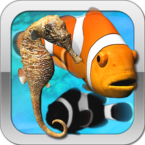 Fish Farm Fish Farm