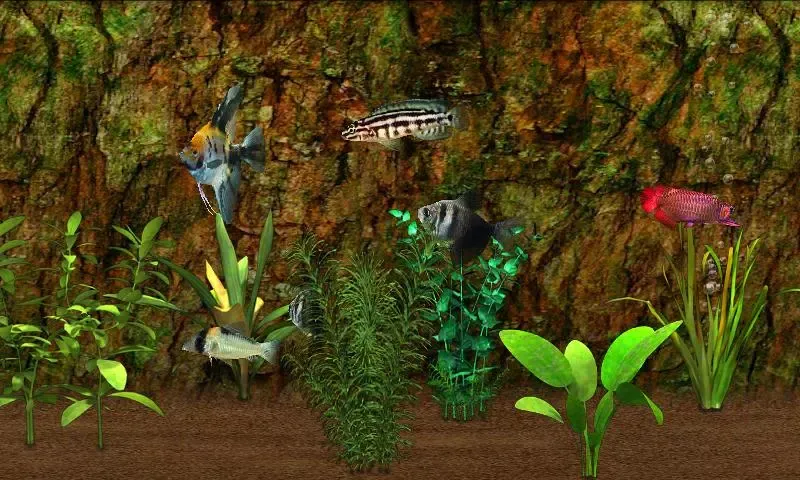 Fish Farm應用截圖