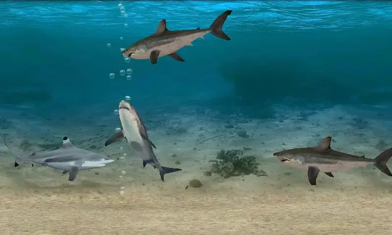 Fish Farm應用截圖