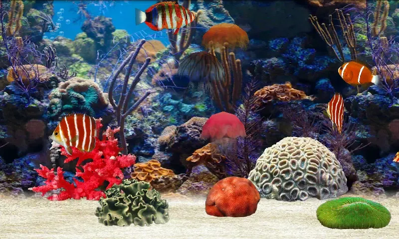 Fish Farm應用截圖