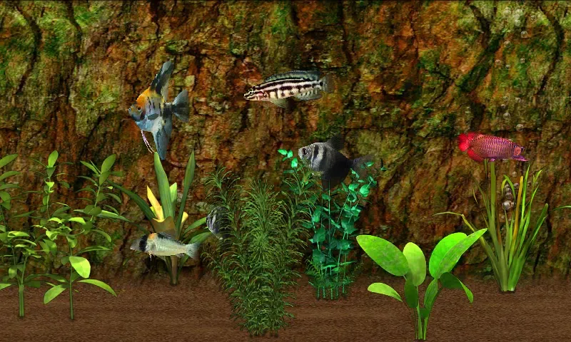 Fish Farm應用截圖