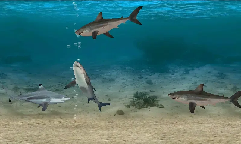 Fish Farm應用截圖
