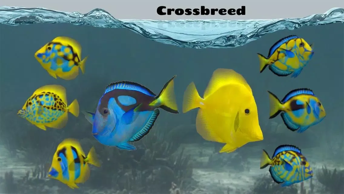 Fish Farm 2应用截图