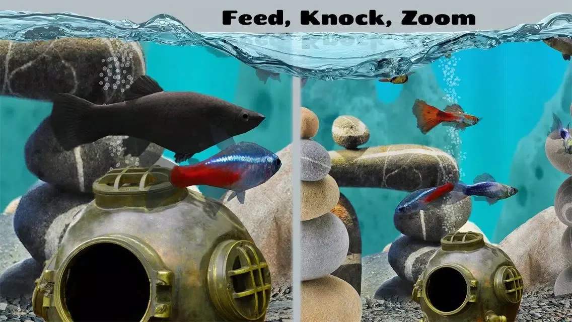 Fish Farm 2应用截图