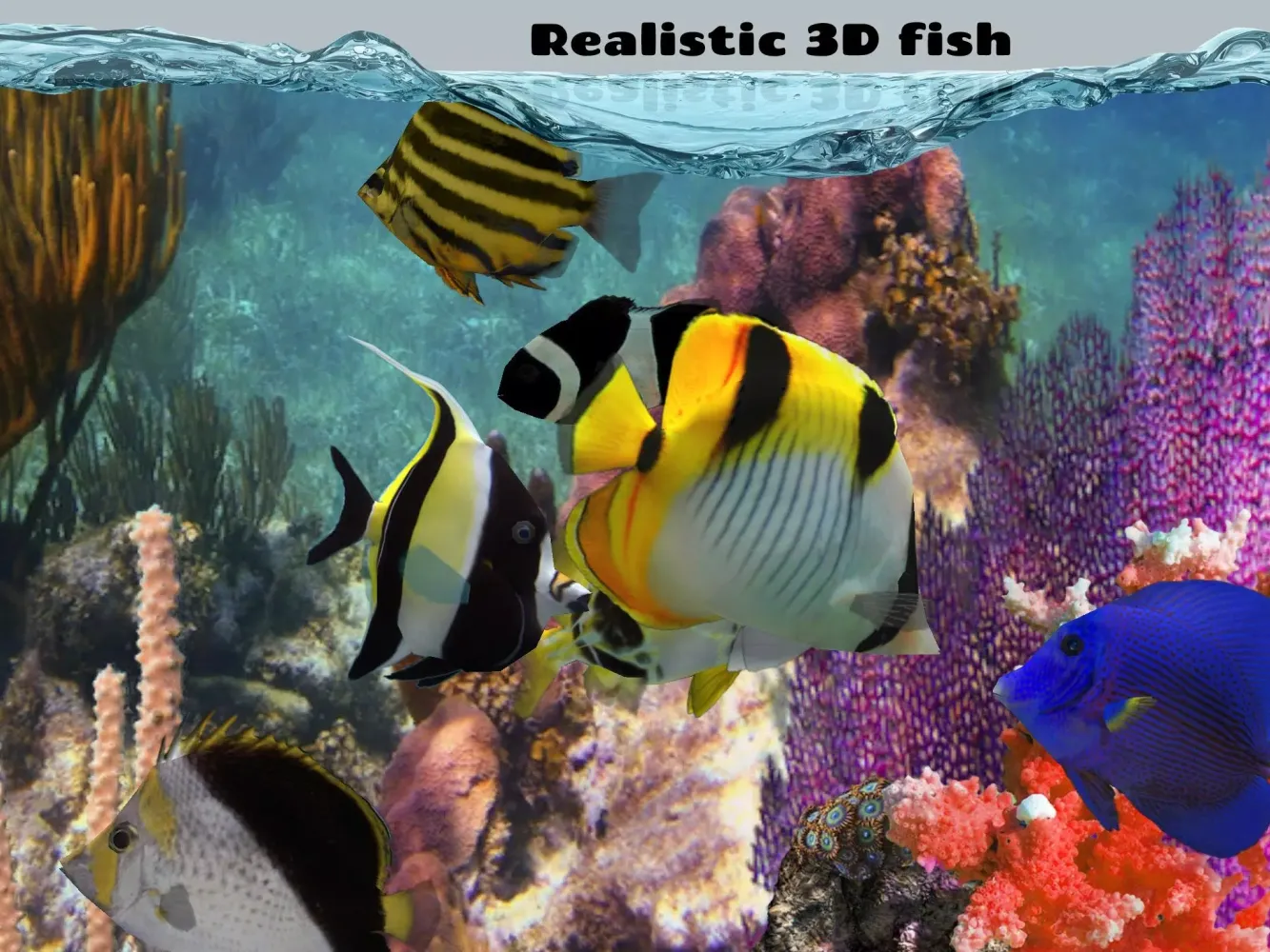 Fish Farm 2应用截图