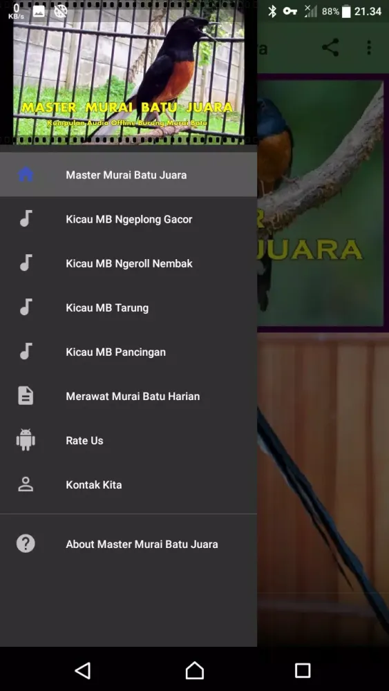 Master Murai Batu Juara Screenshots