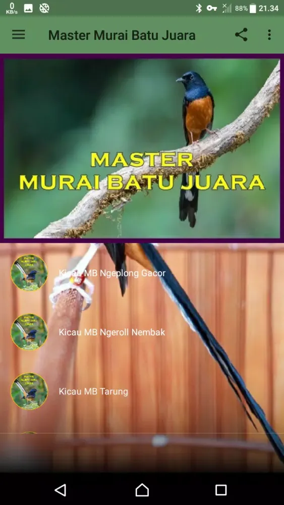 Master Murai Batu Juara Screenshots