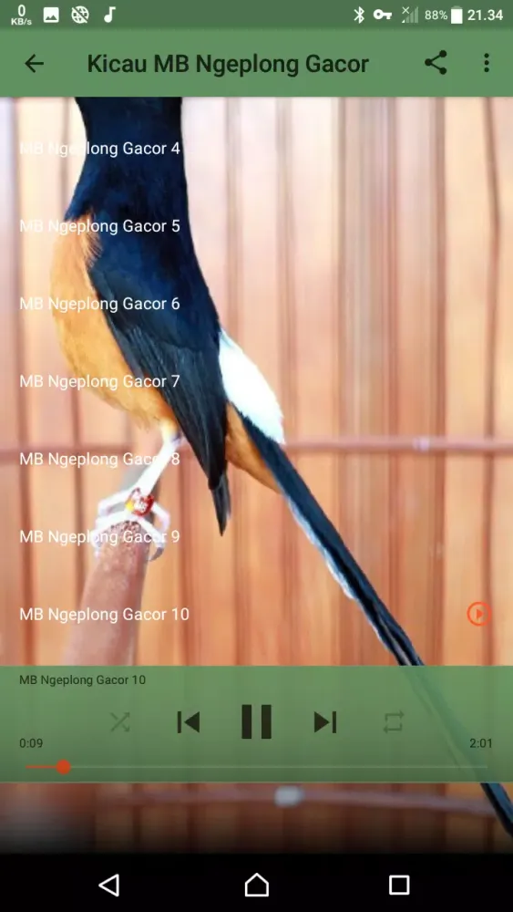 Master Murai Batu Juara Screenshots