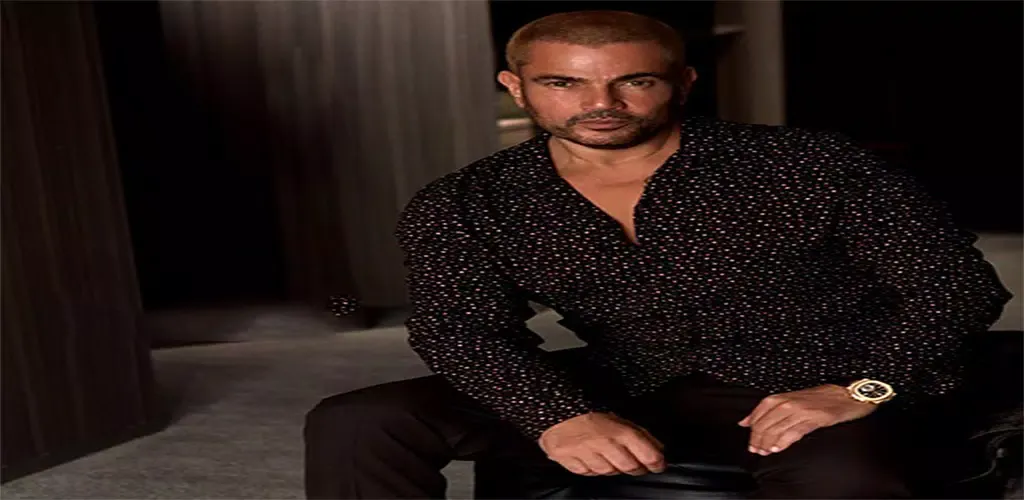 عمرو دياب بدون نت-Amr Diab应用截图