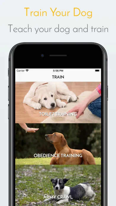 Tangkapan layar My Dog App - Care my Dog