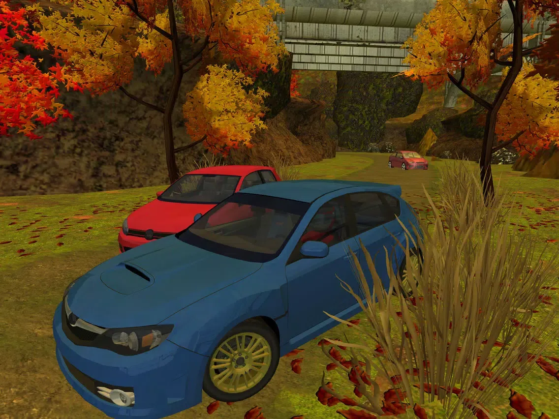 Screenshot di 3D Mountain Rally Racing - eXtreme Real Dirt Road Driving Simulator Game PRO iPad 