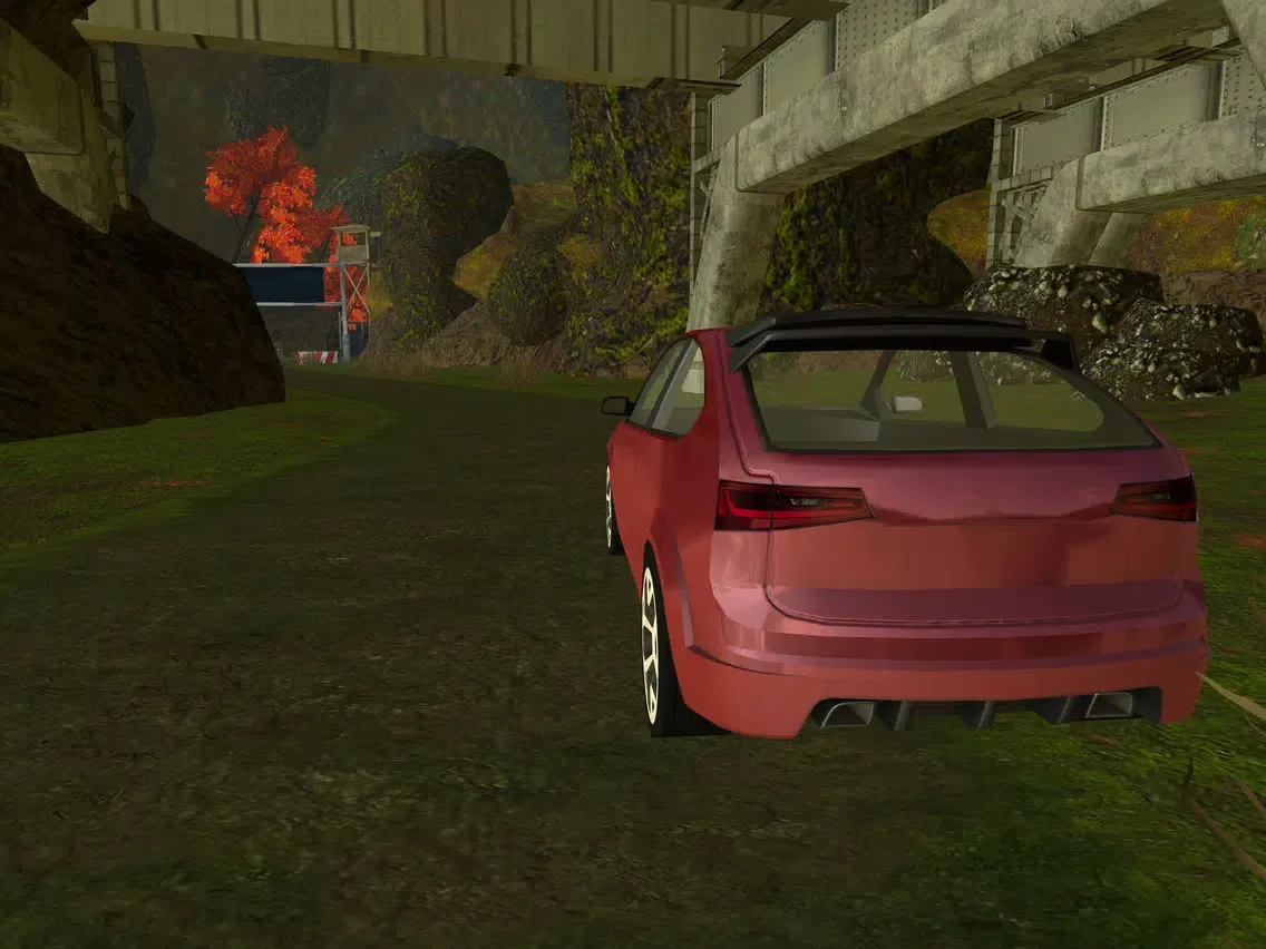 Screenshot di 3D Mountain Rally Racing - eXtreme Real Dirt Road Driving Simulator Game PRO iPad 