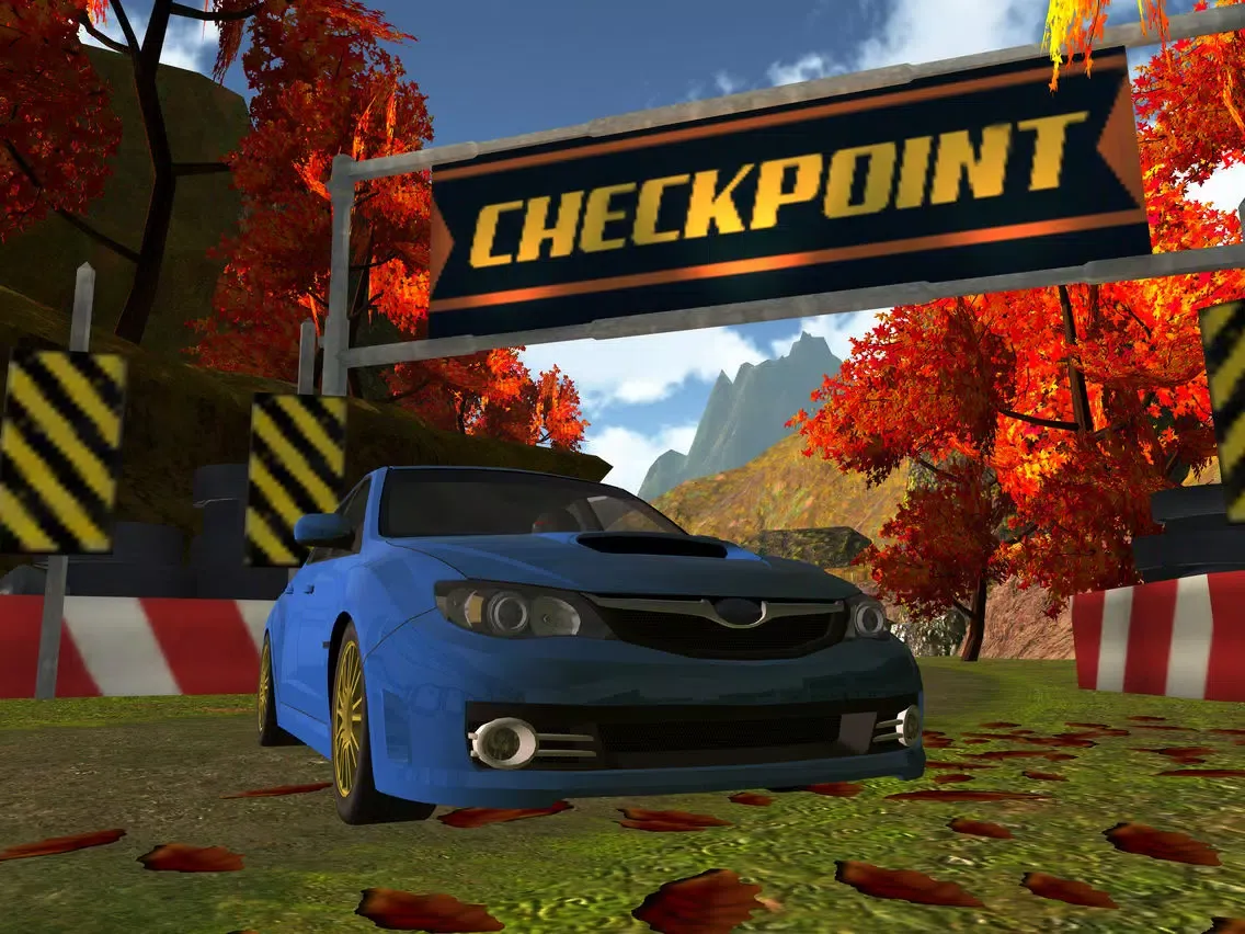 Screenshot di 3D Mountain Rally Racing - eXtreme Real Dirt Road Driving Simulator Game PRO iPad 