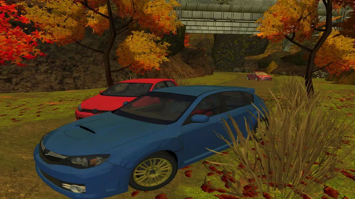 Screenshot di 3D Mountain Rally Racing - eXtreme Real Dirt Road Driving Simulator Game PRO