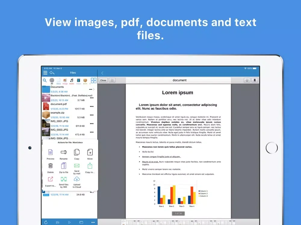 Total File Manager iPad  スクリーンショット