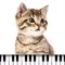 Piano Cat