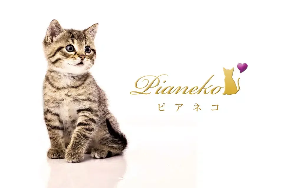 Piano Cat应用截图