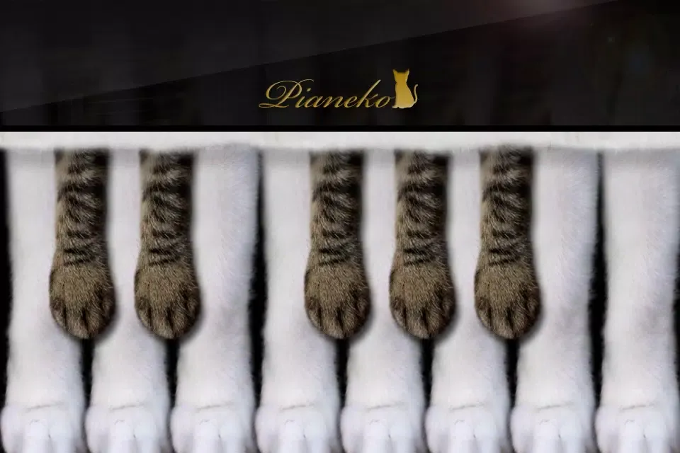 Piano Cat应用截图