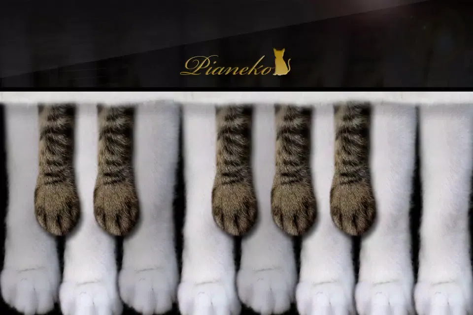 Piano Cat应用截图