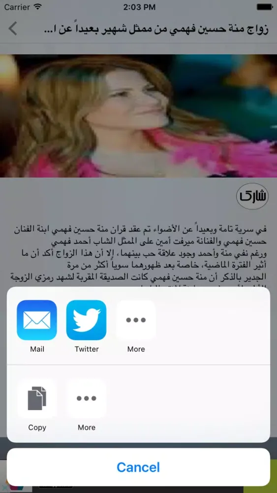 مشاهير واخبار স্ক্রিনশট
