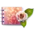 My Special Diary