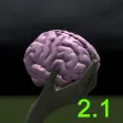 Brain Toss Brain Toss