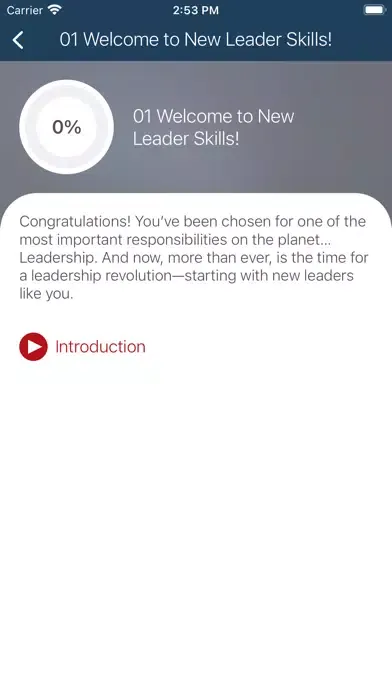 Скриншоты New Leader Skills
