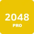 2048 Pro Version