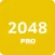 2048 Pro Version