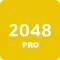 2048 Pro Version