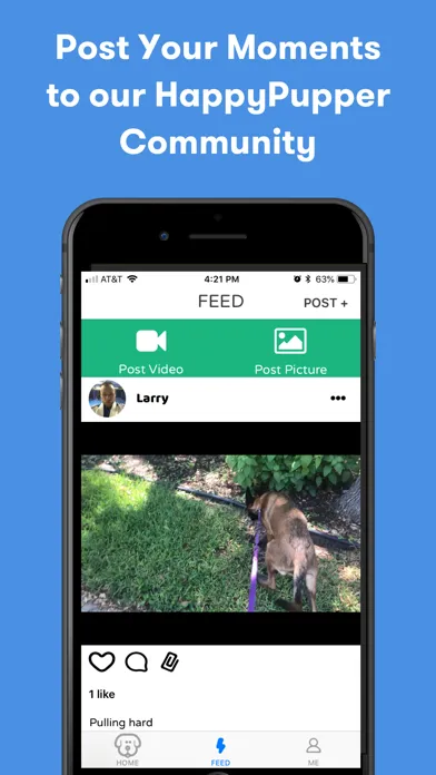 HappyPupper Dog Walker Tracker應用截圖
