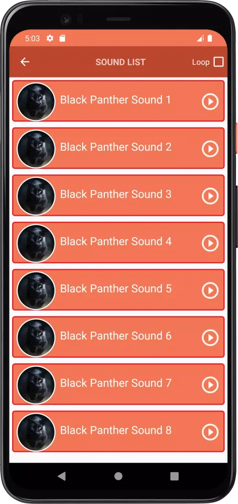 Captures d'écran de Black Panther Sounds