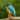 KingFisher Sounds