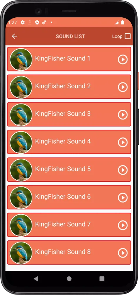 KingFisher Sounds Ekran Görüntüleri