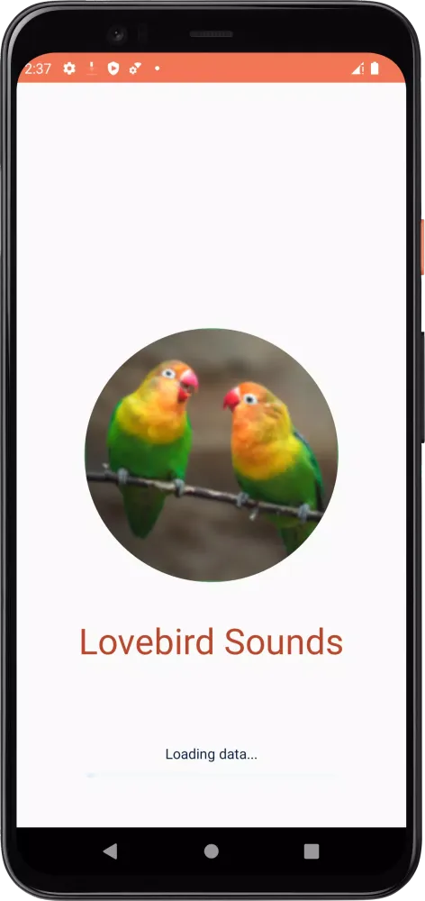 صور Lovebird Sounds