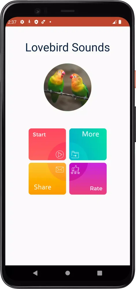 صور Lovebird Sounds
