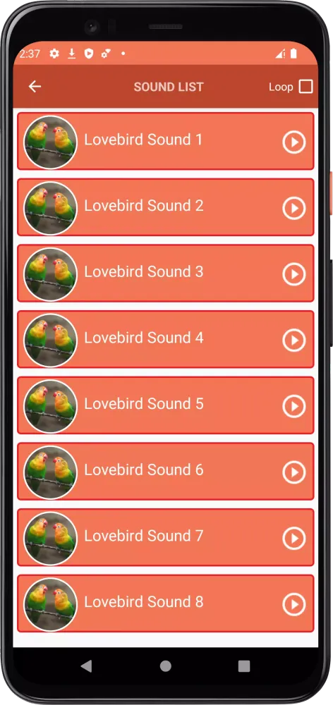 صور Lovebird Sounds