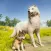 Wild Wolf Family Simulator 3D