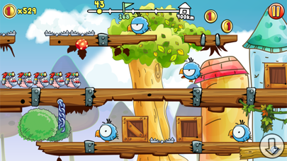 Turbo Pigs - Run Piggy Run!应用截图
