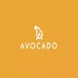 Avocado Supplier Avocado Supplier