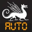 Auto Drone