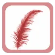 Designs