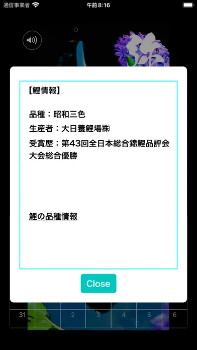 錦鯉四季暦　～にしきごいしきごよみ～ স্ক্রিনশট